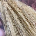 Пшеница, сухоцвет трава, Флористический декорs