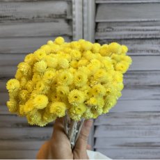 Материалы для флористики и цветочного декора